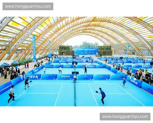 球类蓄能板技术创新与应用前景分析及其在体育设备中的潜力探索