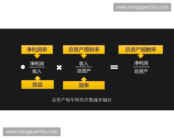 以投资回报评估为核心的项目决策与价值增长分析研究路径与方法